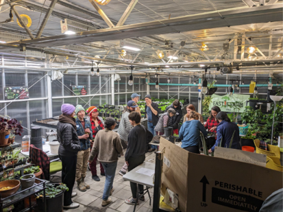 Groups of people talking in a greenhouse.