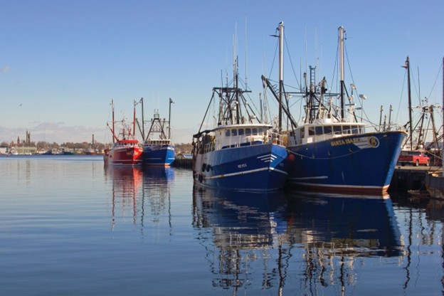 Fishing boats docked.