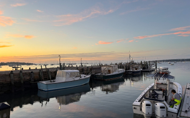 Boats docked in a bay at sunset.
