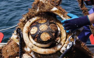 Floating device on boat.