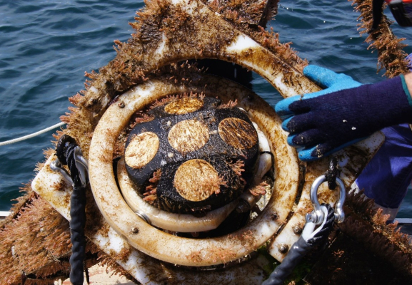 Floating device on boat.
