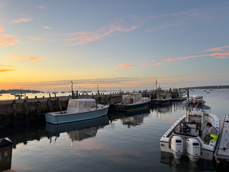 Boats docked in a bay at sunset.