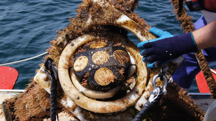 Floating device on boat.