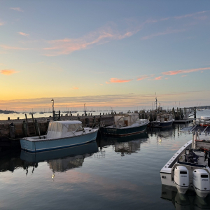 Boats docked in a bay at sunset.