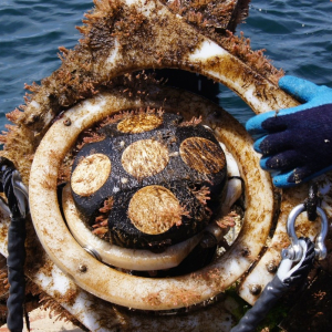 Floating device on boat.