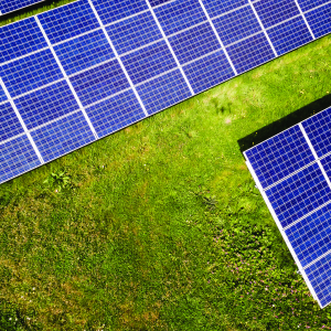 Community solar panels