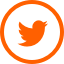 Twitter Icon