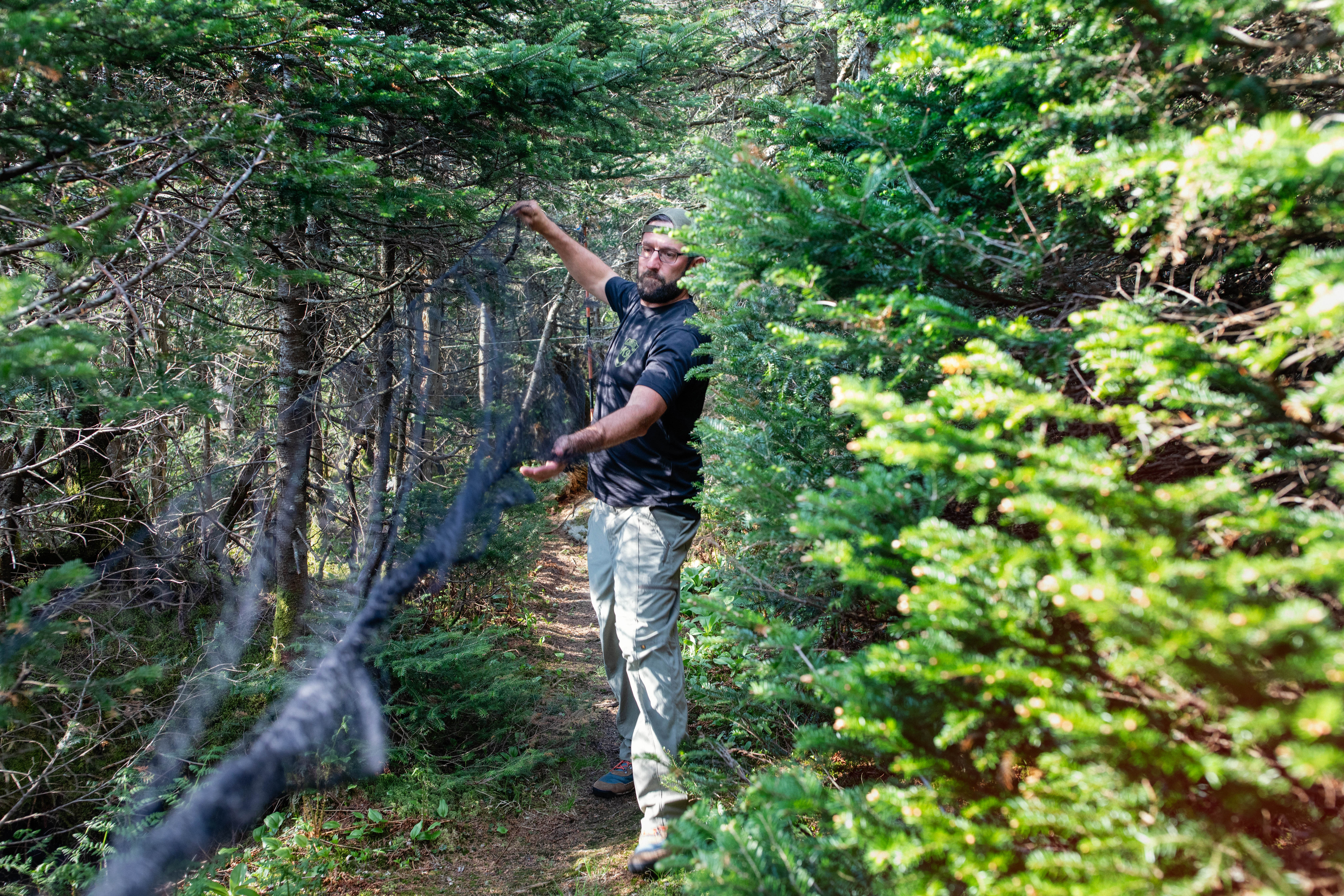 A man in the woods holding a net.