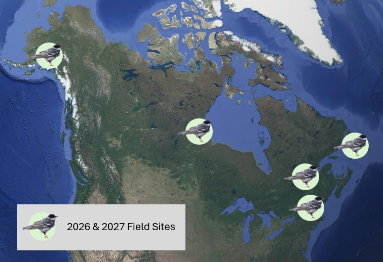 Map of the United States and Canada, with bird icons over the 2026-2027 field sites.