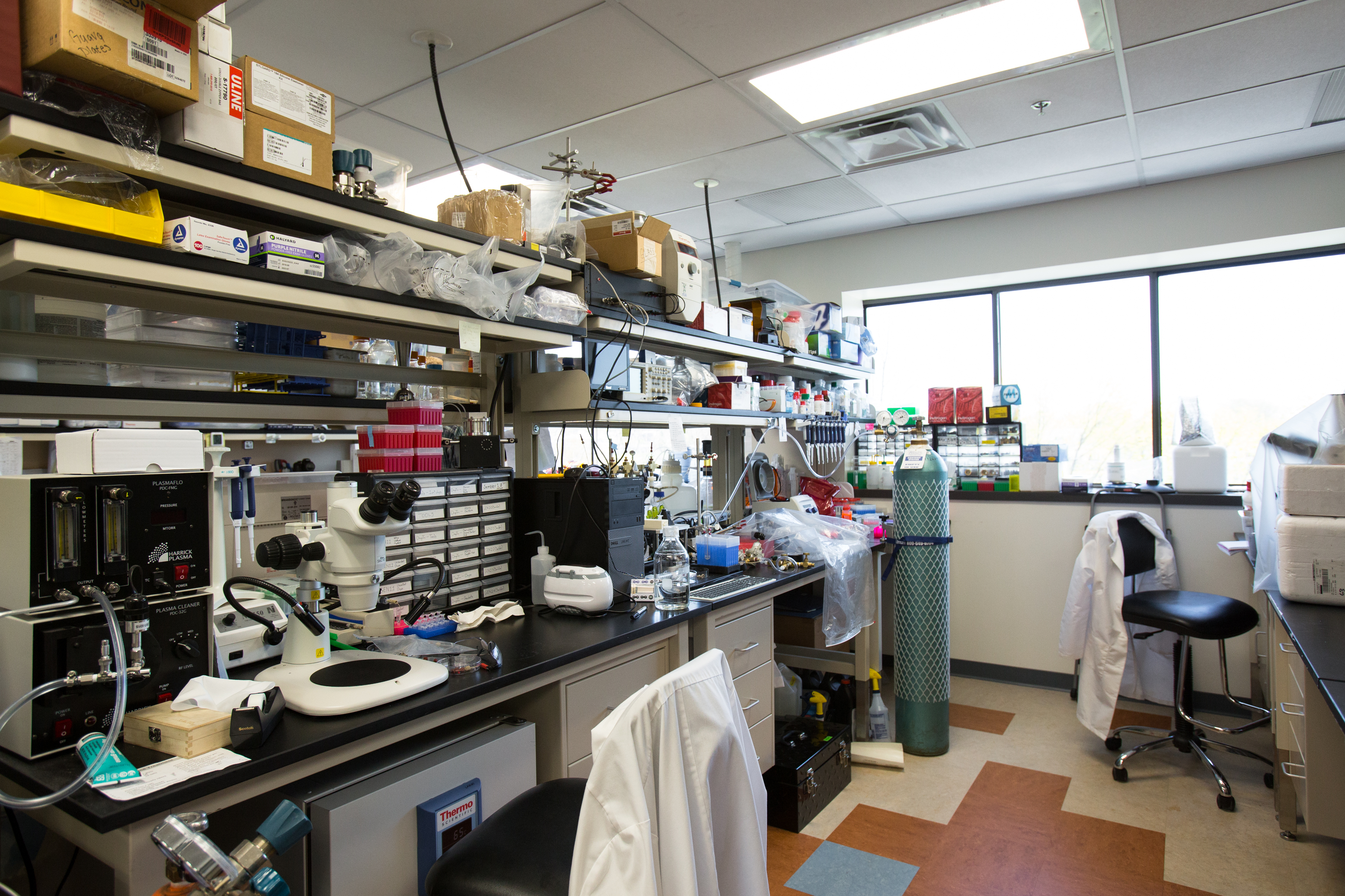Lab.