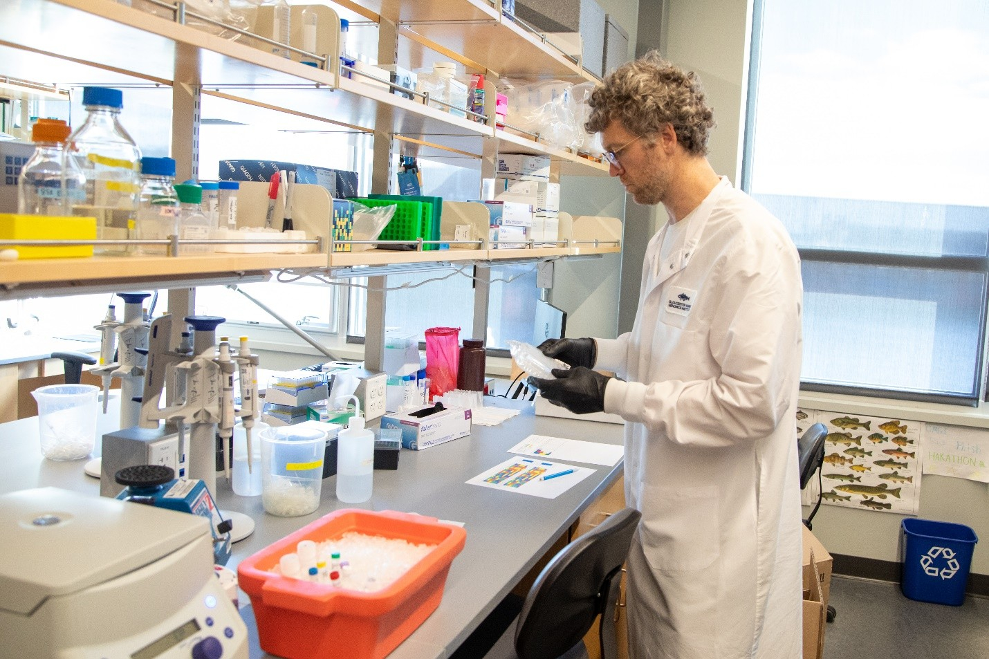 A scientist standing at a counter in a lab.