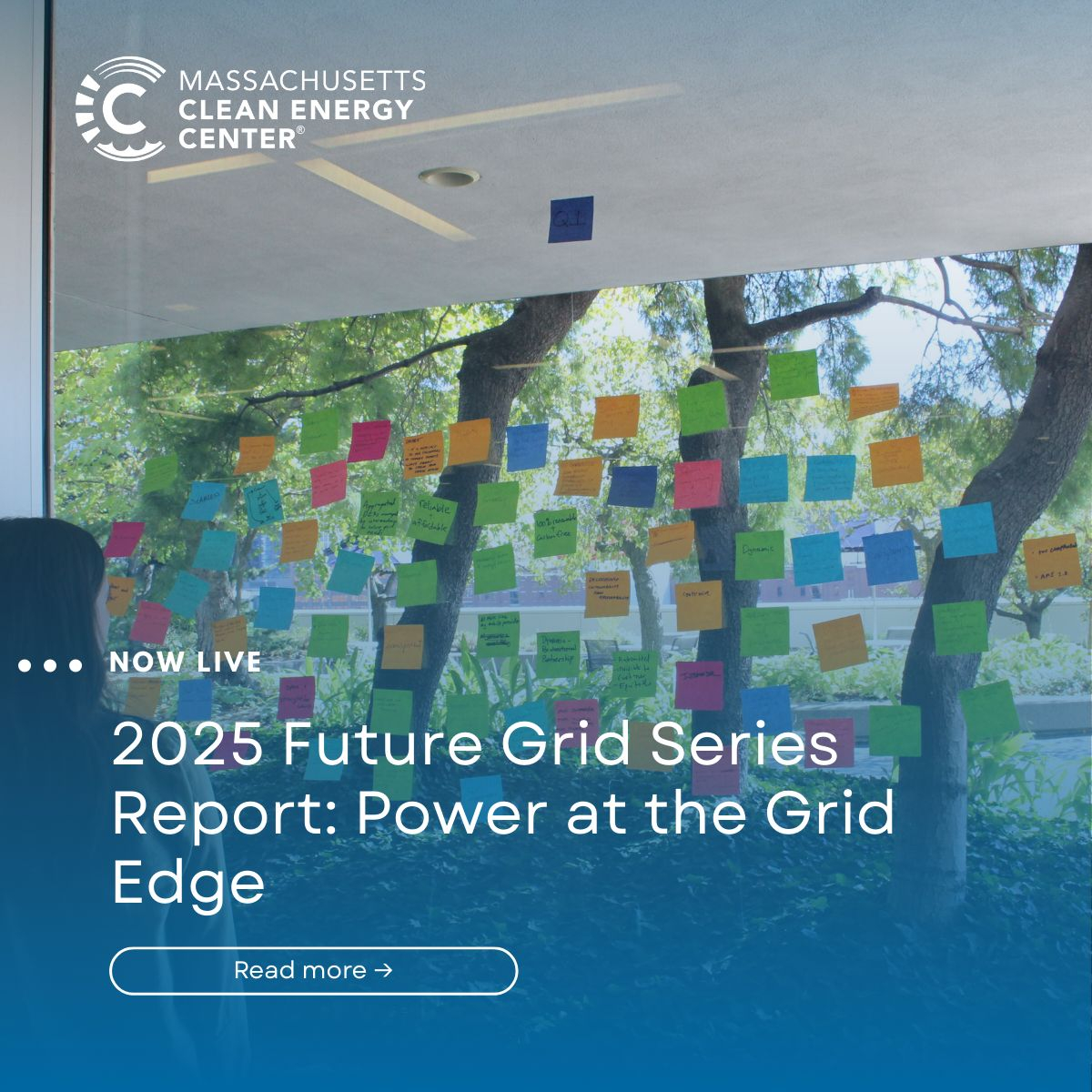 Power at Grid Edge report