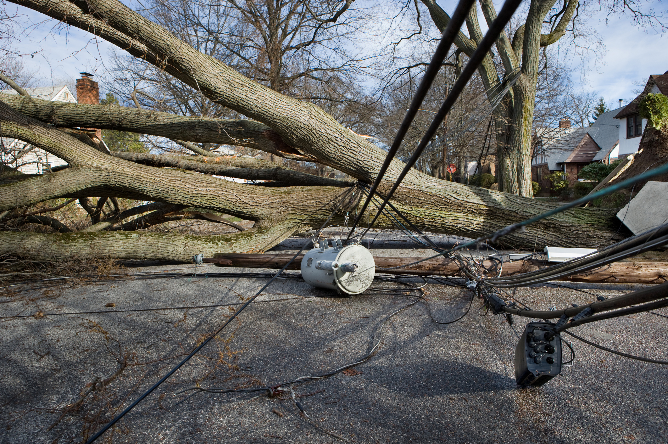 Street blocked by tree fallen on downed power lines