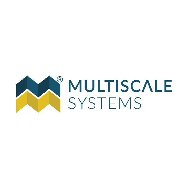 MultiScale Systems logo