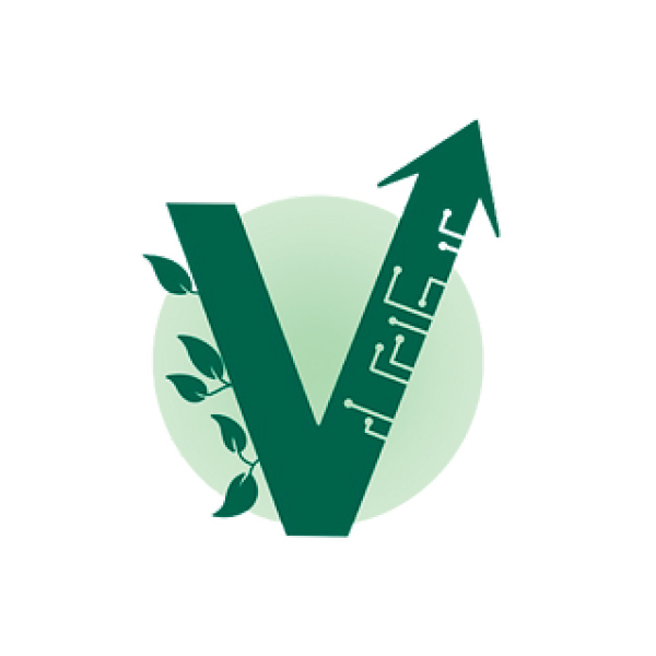 Valis Insights logo